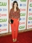The CW And Showtime TCA Party